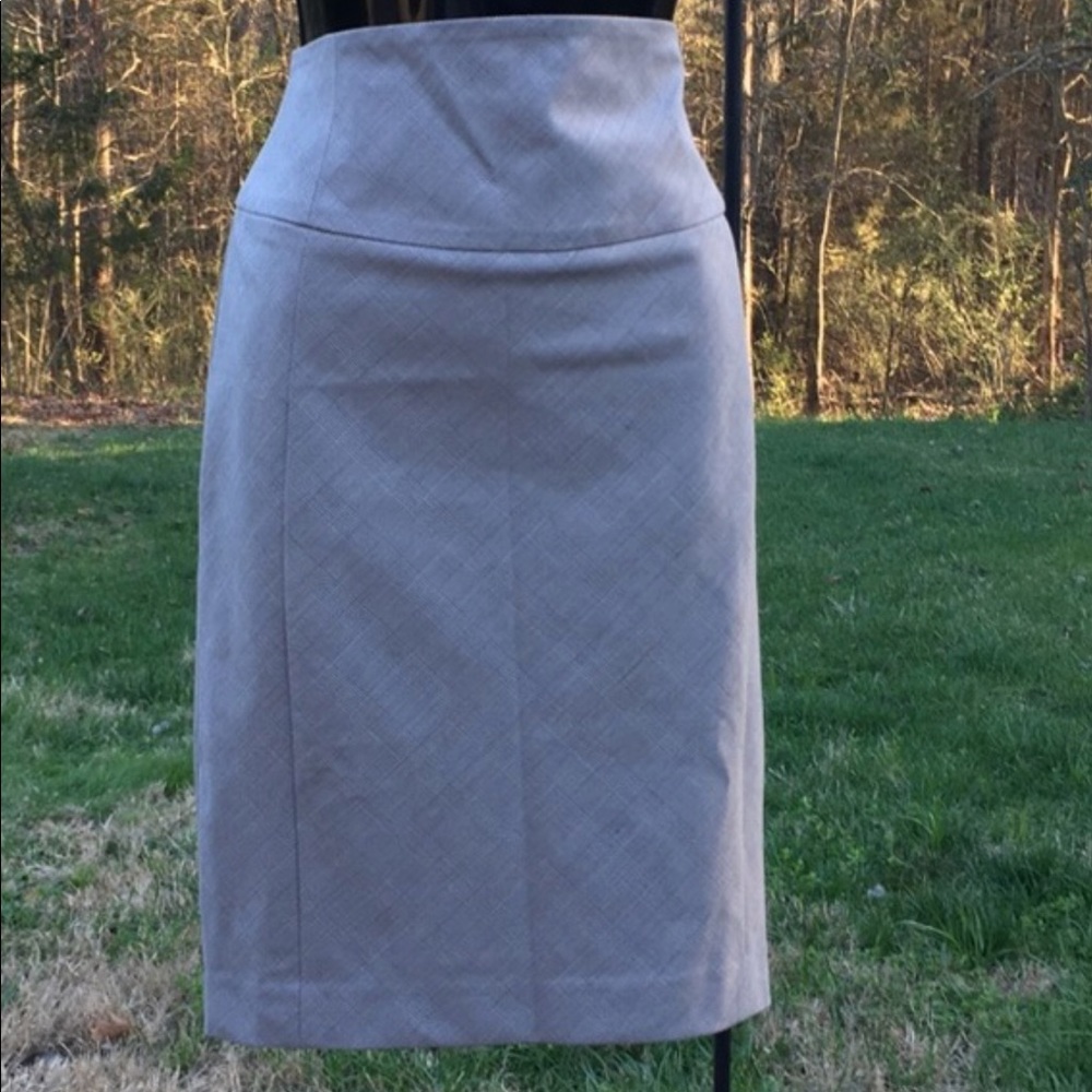 Express Pencil Skirt NWT
